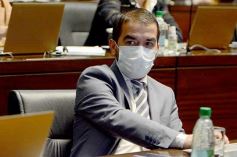 Foto de la galería: Legislatura Provincial: sanción de leyes en salud, producción y medio ambiente