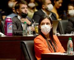 Foto de la galería: Legislatura Provincial: sanción de leyes en salud, producción y medio ambiente