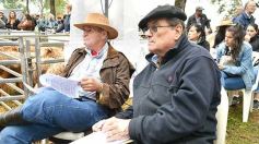 Foto de la galería: Exitoso remate de animales menores en el campo La Armonía de San José