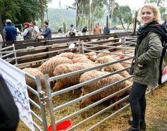 Foto de la galería: Exitoso remate de animales menores en el campo La Armonía de San José