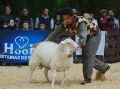 Foto de la galería: Exitoso remate de animales menores en el campo La Armonía de San José
