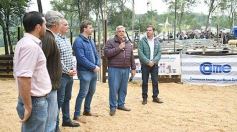 Foto de la galería: Exitoso remate de animales menores en el campo La Armonía de San José