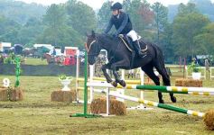 Foto de la galería: Exitoso remate de animales menores en el campo La Armonía de San José