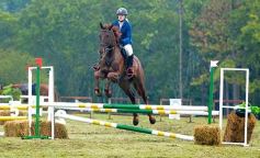 Foto de la galería: Exitoso remate de animales menores en el campo La Armonía de San José