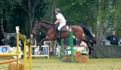 Foto de la galería: Exitoso remate de animales menores en el campo La Armonía de San José