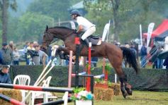 Foto de la galería: Exitoso remate de animales menores en el campo La Armonía de San José