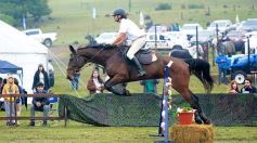 Foto de la galería: Exitoso remate de animales menores en el campo La Armonía de San José