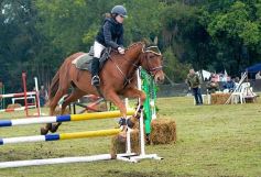 Foto de la galería: Exitoso remate de animales menores en el campo La Armonía de San José