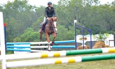 Foto de la galería: Exitoso remate de animales menores en el campo La Armonía de San José