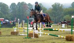 Foto de la galería: Exitoso remate de animales menores en el campo La Armonía de San José
