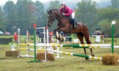 Foto de la galería: Exitoso remate de animales menores en el campo La Armonía de San José