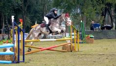 Foto de la galería: Exitoso remate de animales menores en el campo La Armonía de San José