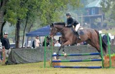 Foto de la galería: Exitoso remate de animales menores en el campo La Armonía de San José