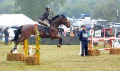 Foto de la galería: Exitoso remate de animales menores en el campo La Armonía de San José