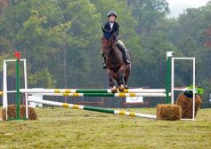 Foto de la galería: Exitoso remate de animales menores en el campo La Armonía de San José
