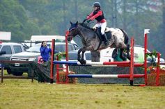 Foto de la galería: Exitoso remate de animales menores en el campo La Armonía de San José