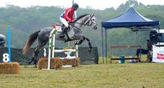 Foto de la galería: Exitoso remate de animales menores en el campo La Armonía de San José