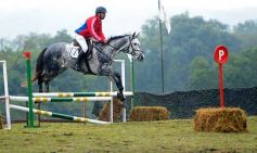 Foto de la galería: Exitoso remate de animales menores en el campo La Armonía de San José