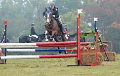 Foto de la galería: Exitoso remate de animales menores en el campo La Armonía de San José