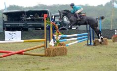 Foto de la galería: Exitoso remate de animales menores en el campo La Armonía de San José