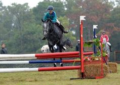 Foto de la galería: Exitoso remate de animales menores en el campo La Armonía de San José