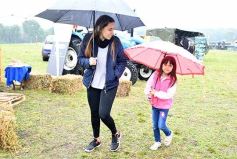 Foto de la galería: Exitoso remate de animales menores en el campo La Armonía de San José