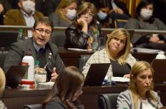 Foto de la galería: Legislatura: Con fuerza de ley aprobaron la atención integral del síndrome de down en Misiones