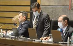 Foto de la galería: Legislatura: Con fuerza de ley aprobaron la atención integral del síndrome de down en Misiones