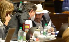 Foto de la galería: Legislatura: Con fuerza de ley aprobaron la atención integral del síndrome de down en Misiones