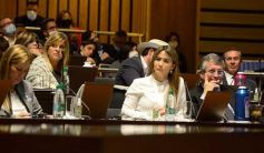 Foto de la galería: Legislatura: Con fuerza de ley aprobaron la atención integral del síndrome de down en Misiones