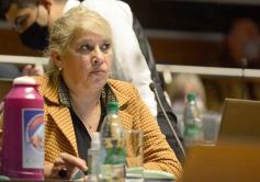 Foto de la galería: Legislatura: Con fuerza de ley aprobaron la atención integral del síndrome de down en Misiones