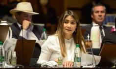 Foto de la galería: Legislatura: Con fuerza de ley aprobaron la atención integral del síndrome de down en Misiones