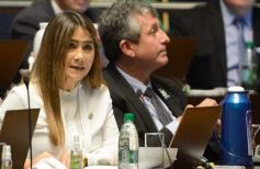 Foto de la galería: Legislatura: Con fuerza de ley aprobaron la atención integral del síndrome de down en Misiones