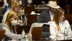 Foto de la galería: Legislatura: Con fuerza de ley aprobaron la atención integral del síndrome de down en Misiones