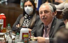 Foto de la galería: Diputados establecieron el Dia Provincial de la Cultura Misionera en honor a Juan Yaparí