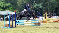Foto de la galería: Remate en San José: más postales del encuentro y Torneo Hípico en el campo La Armonía
