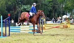 Foto de la galería: Remate en San José: más postales del encuentro y Torneo Hípico en el campo La Armonía