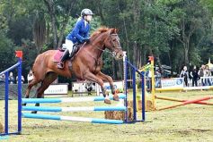 Foto de la galería: Remate en San José: más postales del encuentro y Torneo Hípico en el campo La Armonía
