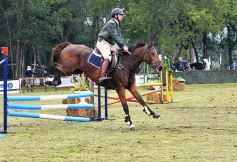 Foto de la galería: Remate en San José: más postales del encuentro y Torneo Hípico en el campo La Armonía