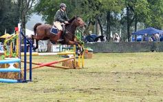 Foto de la galería: Remate en San José: más postales del encuentro y Torneo Hípico en el campo La Armonía