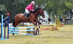 Foto de la galería: Remate en San José: más postales del encuentro y Torneo Hípico en el campo La Armonía