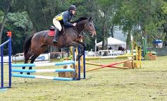 Foto de la galería: Remate en San José: más postales del encuentro y Torneo Hípico en el campo La Armonía