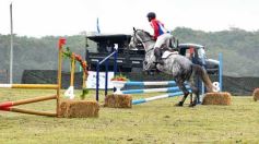 Foto de la galería: Remate en San José: más postales del encuentro y Torneo Hípico en el campo La Armonía