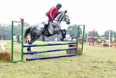 Foto de la galería: Remate en San José: más postales del encuentro y Torneo Hípico en el campo La Armonía