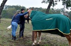 Foto de la galería: Remate en San José: más postales del encuentro y Torneo Hípico en el campo La Armonía