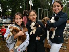 Foto de la galería: Remate en San José: más postales del encuentro y Torneo Hípico en el campo La Armonía