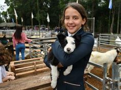 Foto de la galería: Remate en San José: más postales del encuentro y Torneo Hípico en el campo La Armonía