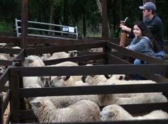 Foto de la galería: Remate en San José: más postales del encuentro y Torneo Hípico en el campo La Armonía