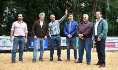 Foto de la galería: Remate en San José: más postales del encuentro y Torneo Hípico en el campo La Armonía