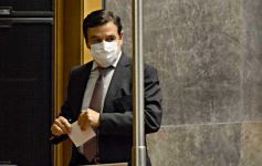 Foto de la galería: Legisladores sancionaron la ley de fomento de producción del jengibre misionero